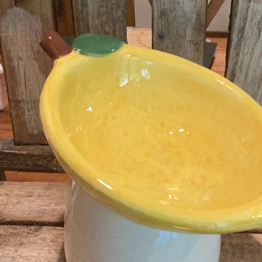 Lemon Pet Bowl
